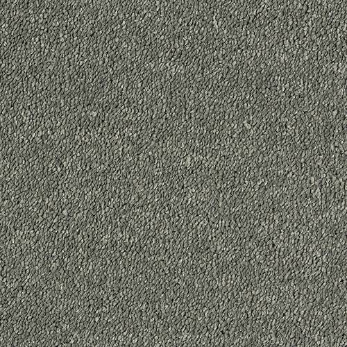 Stainfree Sophisticat - Titanium