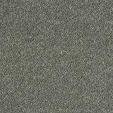 Stainfree Sophisticat - Titanium