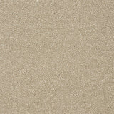 Stainfree Twist - Dark Ecru