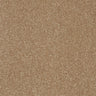 Stainfree Twist - Mocha
