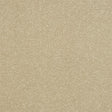 Stainfree Ultra - Antique Cream