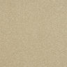Stainfree Ultra - Antique Cream