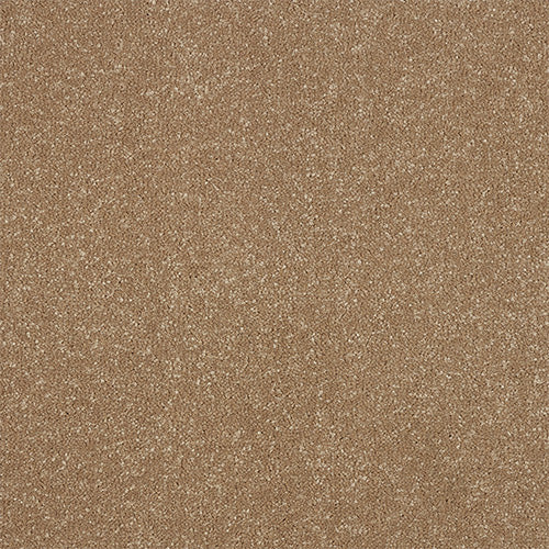 Stainfree Ultra - Cocoa Cream