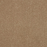 Stainfree Ultra - Cocoa Cream