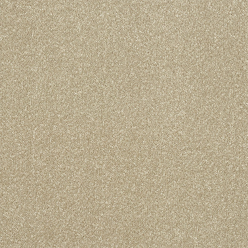 Stainfree Ultra - Country Beige