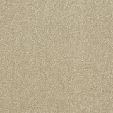 Stainfree Ultra - Country Beige