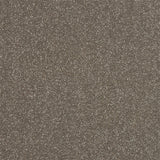 Stainfree Ultra - Dolomite