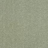 Stainfree Ultra - Jade