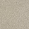 Stainfree Ultra - Parchment