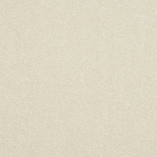 Stainfree Ultra - White Wisper