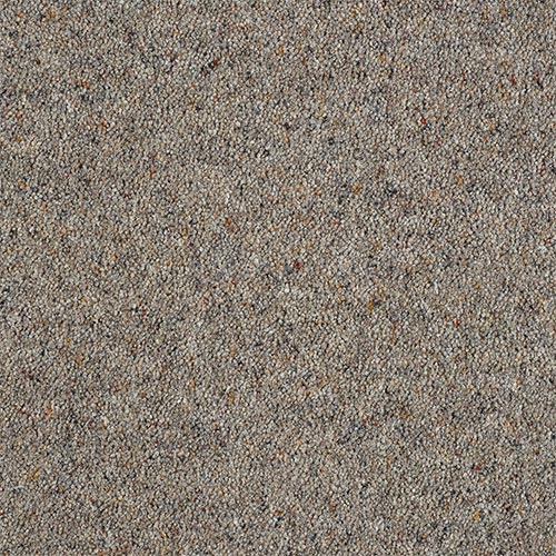 Wilton Royal Charter Berber Deluxe - Dapple