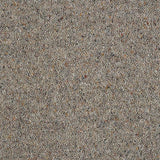 Wilton Royal Charter Berber Deluxe - Dapple