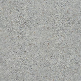 Wilton Royal Charter Berber Deluxe - Dolphin Grey