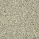 Wilton Royal Charter Berber Deluxe - Dove Grey