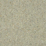 Wilton Royal Charter Berber Deluxe - Dove Grey