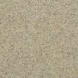 Wilton Royal Charter Berber Deluxe - Flax