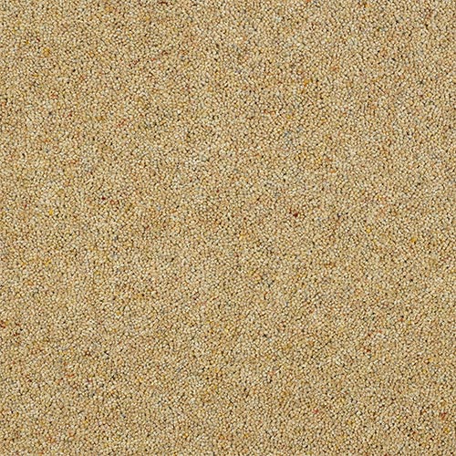 Wilton Royal Charter Berber Deluxe - Honey Gold