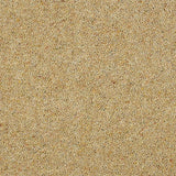 Wilton Royal Charter Berber Deluxe - Honey Gold