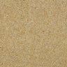 Wilton Royal Charter Berber Deluxe - Honey Gold