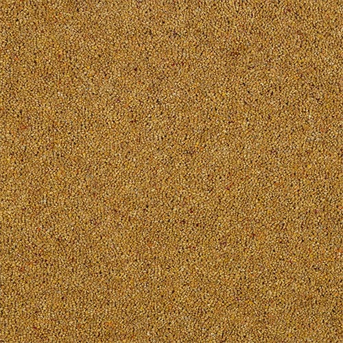 Wilton Royal Charter Berber Deluxe - Mustard