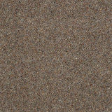 Wilton Royal Charter Berber Deluxe - Pecan