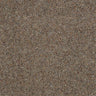Wilton Royal Charter Berber Deluxe - Pecan