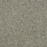 Wilton Royal Charter Berber Deluxe - Pewter