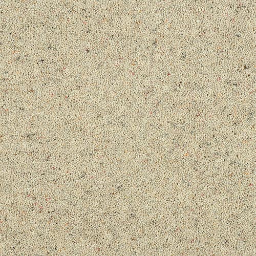 Wilton Royal Charter Berber Deluxe - Pumice