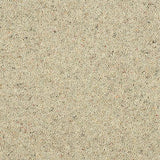 Wilton Royal Charter Berber Deluxe - Pumice