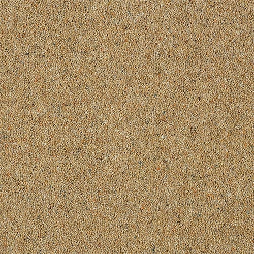 Wilton Royal Charter Berber Deluxe - Sandstone
