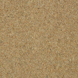 Wilton Royal Charter Berber Deluxe - Sandstone
