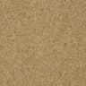 Wilton Royal Charter Berber Deluxe - Sandstone