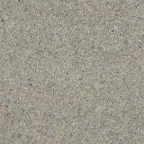 Wilton Royal Charter Berber Deluxe - Silver Mist