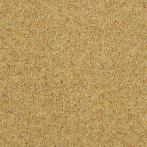 Wilton Royal Charter Berber Deluxe - Summer Sun