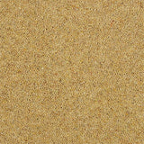 Wilton Royal Charter Berber Deluxe - Summer Sun
