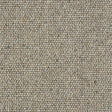 Wilton Royal Charter Berber Loop - Dapple