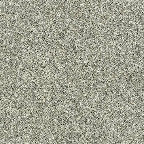 Wilton Royal Royal Charter Deluxe - Silver Birch