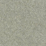 Wilton Royal Royal Charter Deluxe - Silver Birch