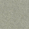 Wilton Royal Royal Charter Deluxe - Silver Birch