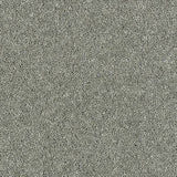 Wilton Royal Royal Charter Deluxe - Silver Shadow