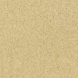Wilton Royal Royal Charter Deluxe - String