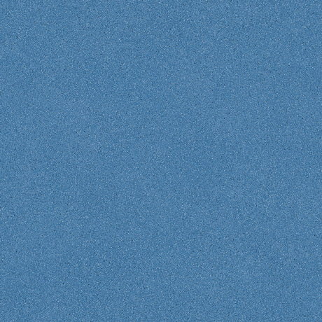 Xtreme Vinyl